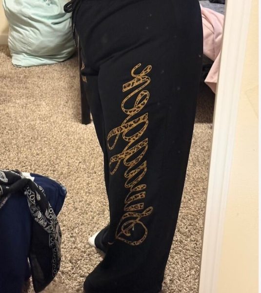 588982082 1147592484195734 427037263594601281 N